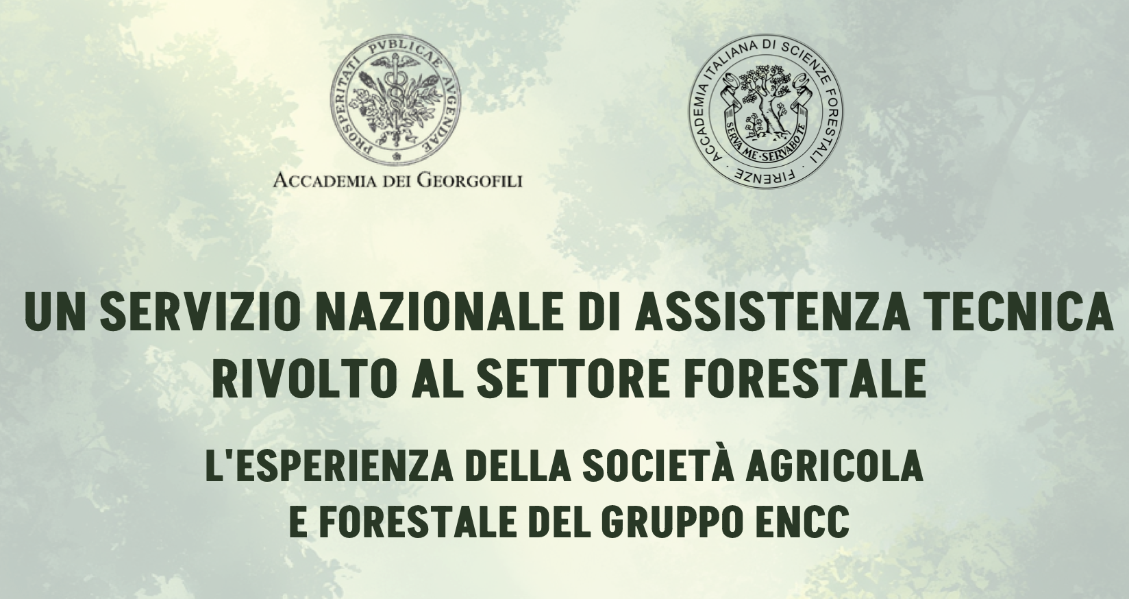 Un servizio nazionale di assistenza tecnica rivolto al settore forestale